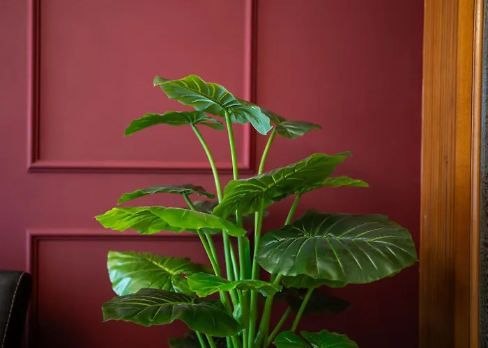 Velvet House 26 - Center By Innstay Milan