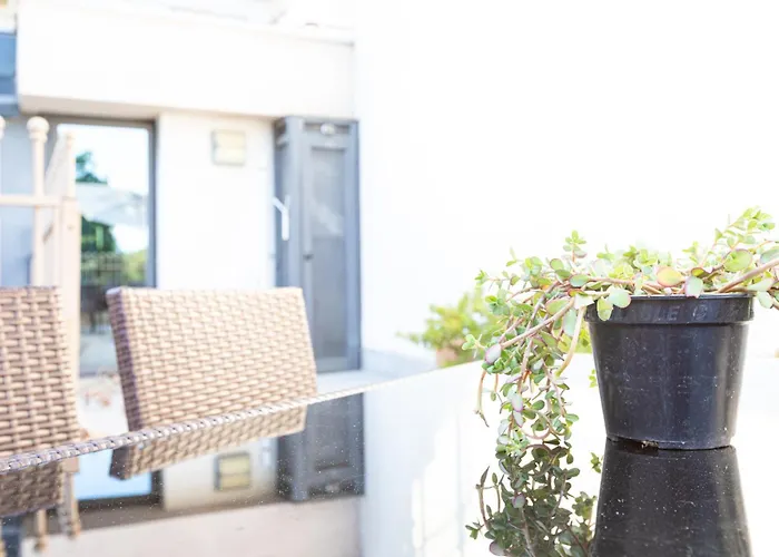 Citta Studi 1 - Collection 3*