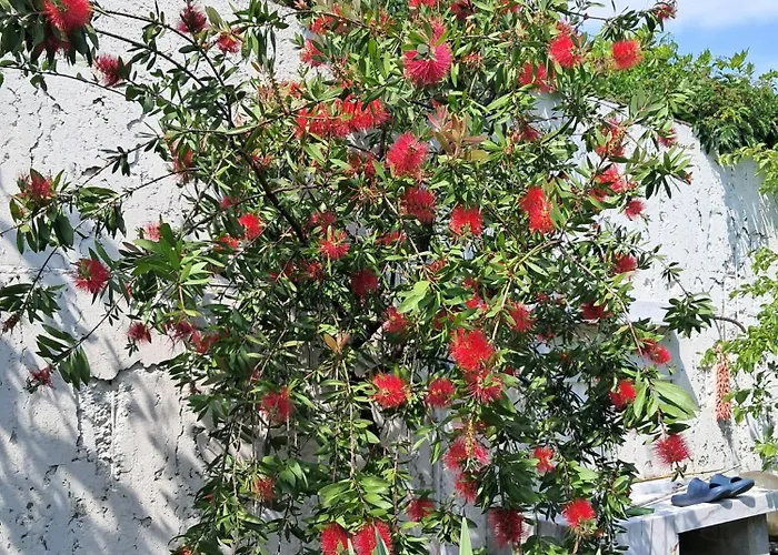 With A Garden מילאנו