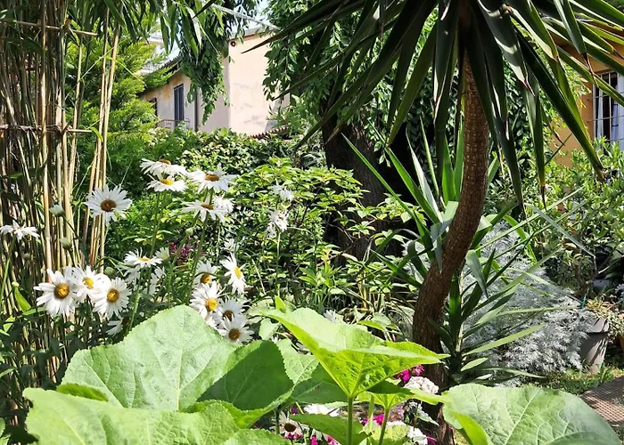 בית אירוח With A Garden