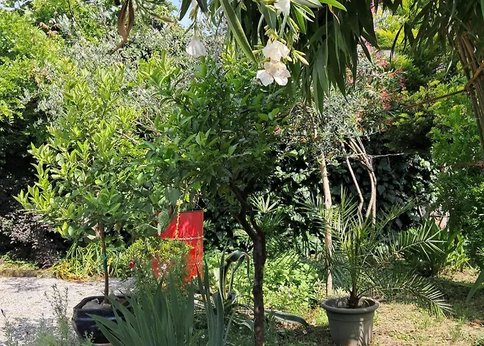 בית אירוח With A Garden *