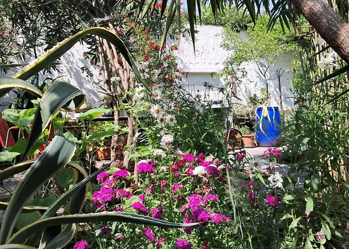 With A Garden בית אירוח *