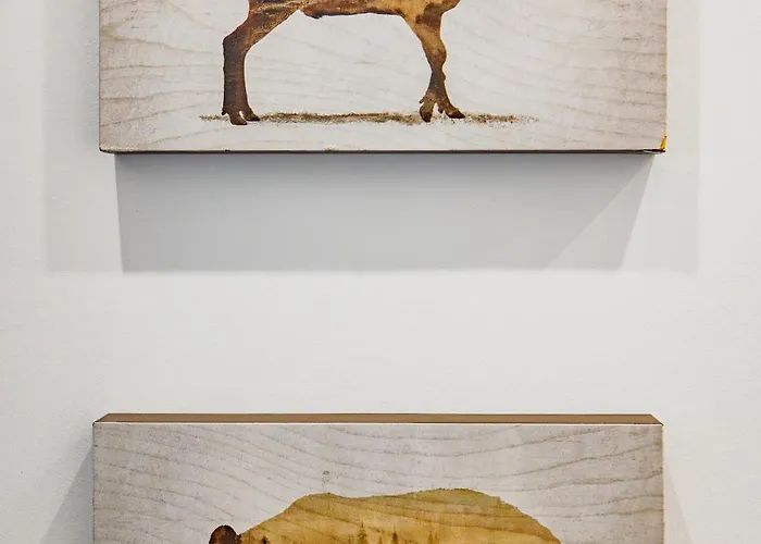 Appartamento Eclectica *