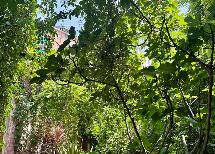 Franca's Apartman Milánó