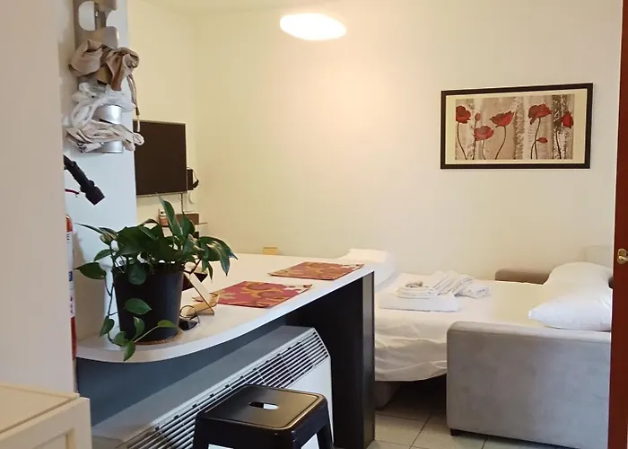 Bellissimo Bilocale Con Terrazzo * 米兰
