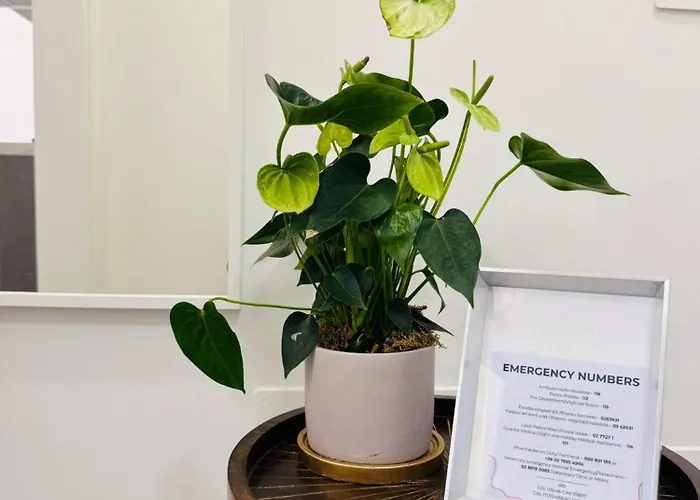 Apartmán Urban Lounge