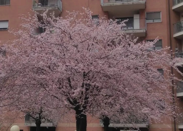 Apartment Elemi House *