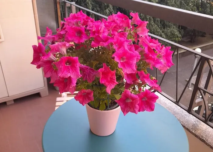 Emotion 716 E Sei A Casa! Appartement Milan