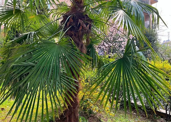 -allianz Mico-san Siro-center- Lux Charming * Mailand