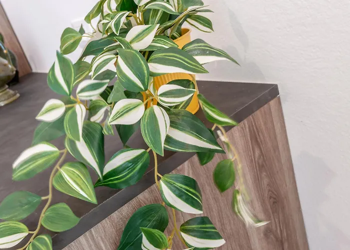 Stayeasy Melloni - 3 Rooms, 2 Baths - Center Apartment *