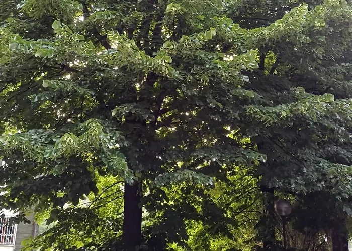 Le Jardin Secret ميلان