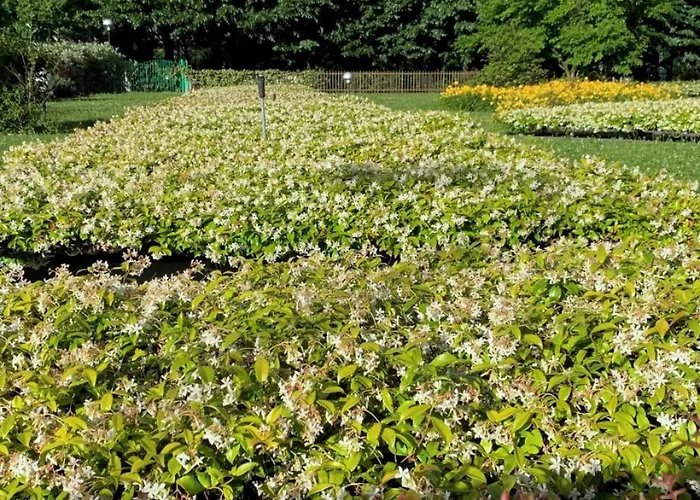 Le Jardin Secret شقة ميلان