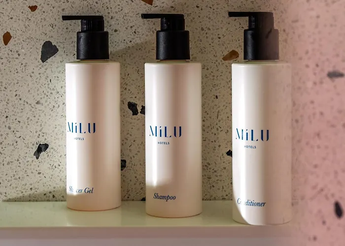 Hotel Milu 4*