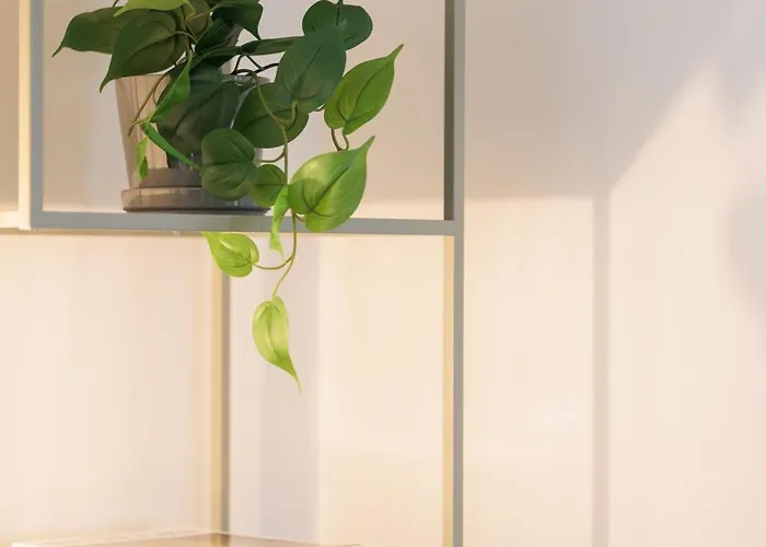 Cozy 3 Bedrooms Buenos Aires - Mirable Pm Lägenhet *