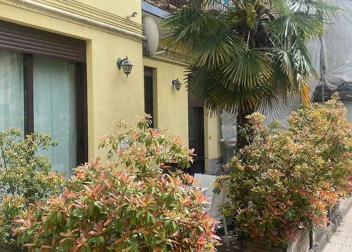 Apartment Artist S 80 Mq With Garden And Palm Tree