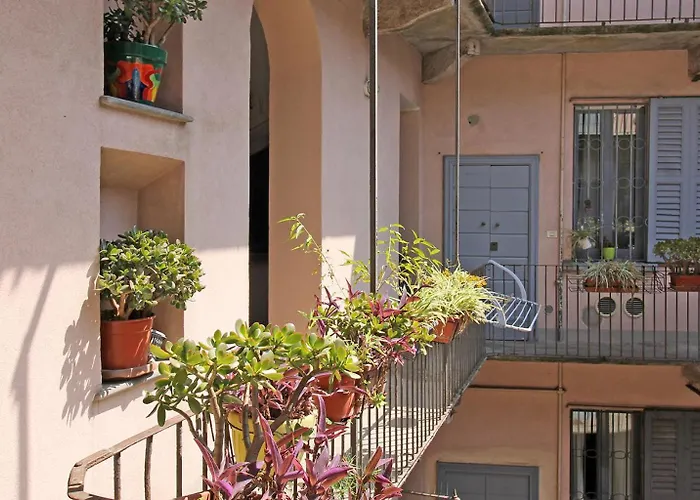 Sahi - Maroncelli 15 *