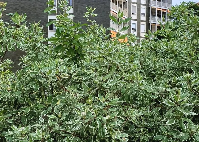 Le Jardin Secret ميلان