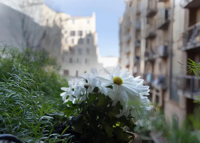 Maggi - New Beautiful In The Center Milán