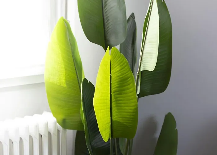 Spazioso Con Terrazzo Navigli,bocconi Milano