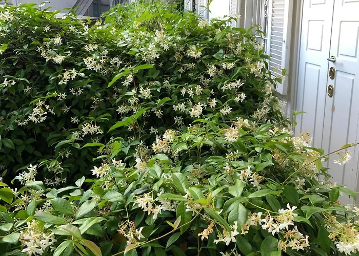 Gbcity - 20 Mt Da Metro Wagner 公寓 米兰