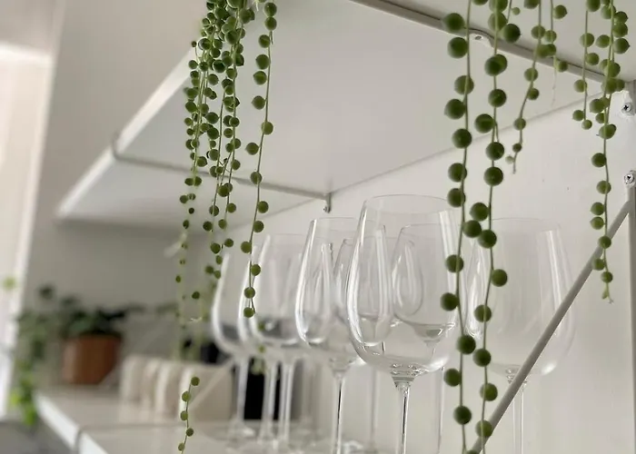 Casa Leonardo - Studi