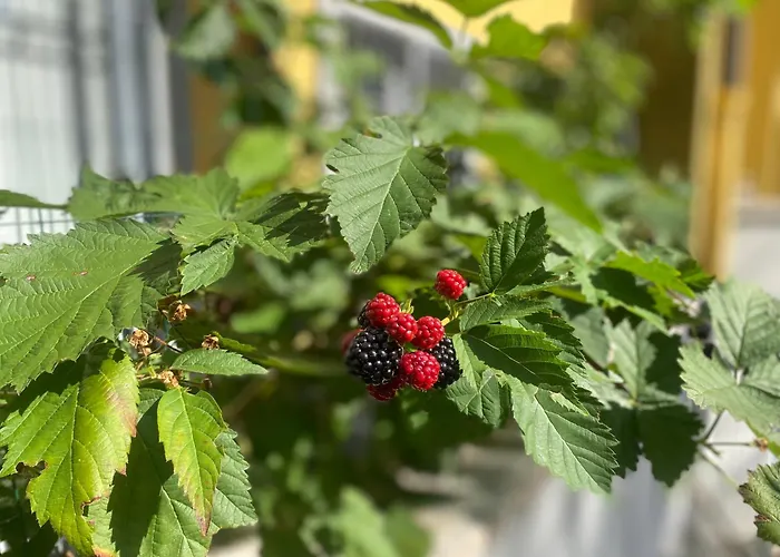 Navigli Downtown Cocco House Apartment