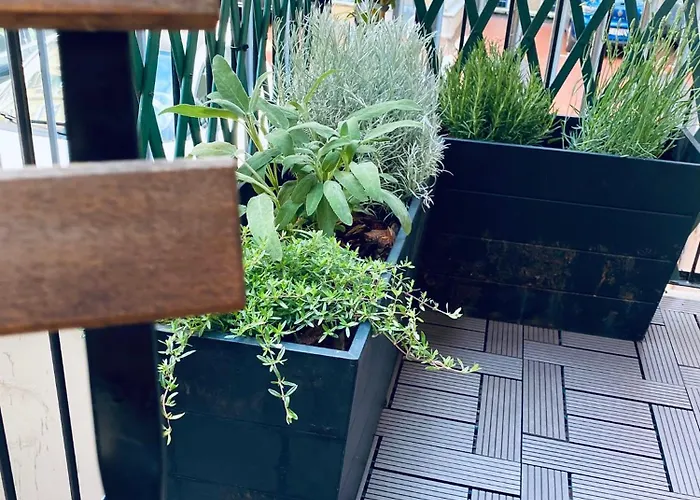 Cozy Isola Garden 아파트 *