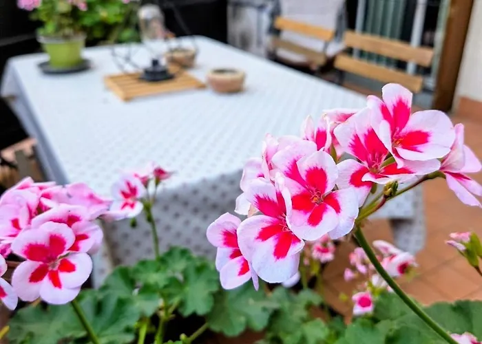 Loft Moderno Con Terrazzo *