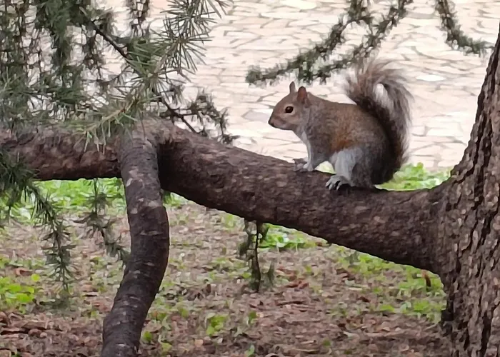 Garden Flat * Milano