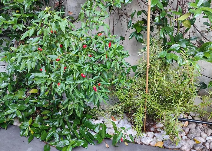 Citylife Mico Modern With Private Garden ミラノ