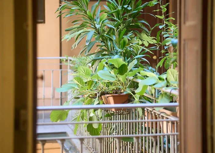 Urban Design - Buenos Aires District Milano