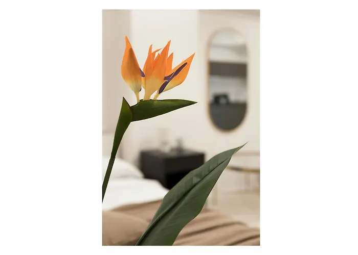 Sweet Dreams - Near Center - M4 Milán