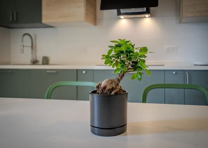 Apartmán Social House - Vivi La Citta Con Stile *