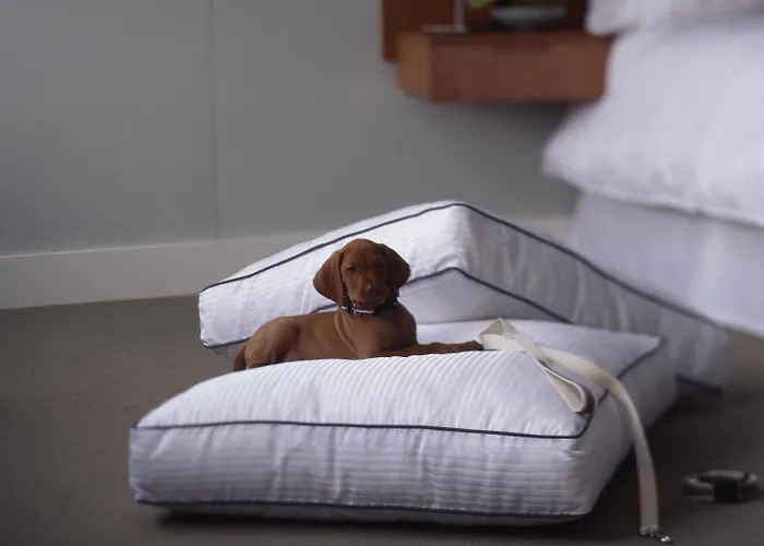 فندق The Westin Palace, 5*