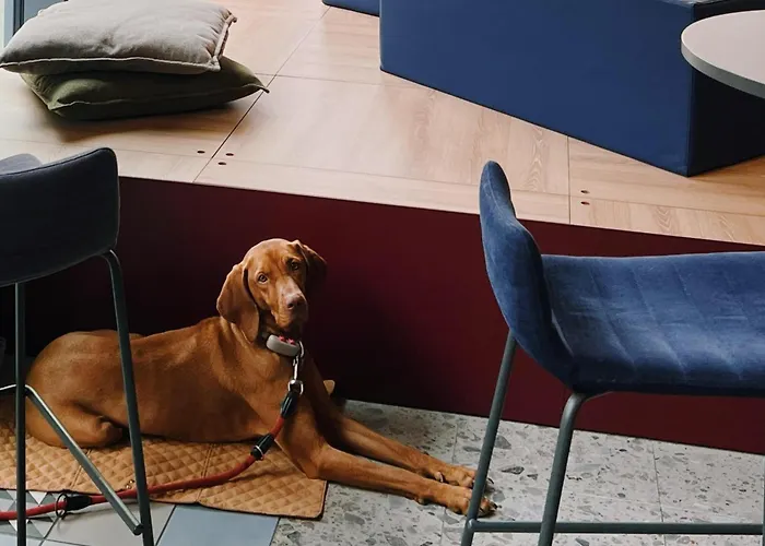 ホテル 21 House Of Stories Navigli ミラノ