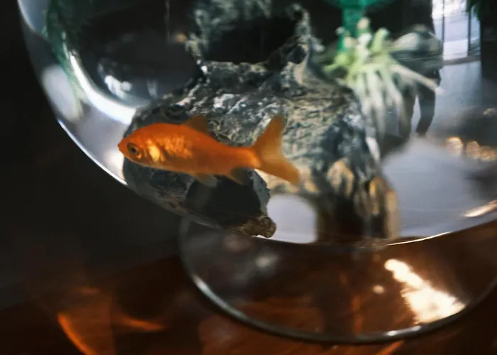 Lejlighed Comecasa De Amicis Urban Flat Near Duomo Milano