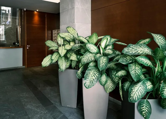 Comecasa De Amicis Urban Flat Near Duomo Lejlighed Milano