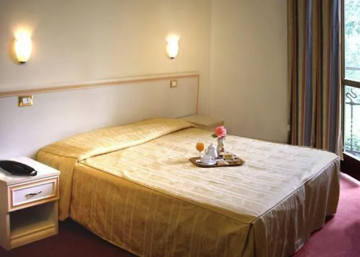 Hotel Adler 3*