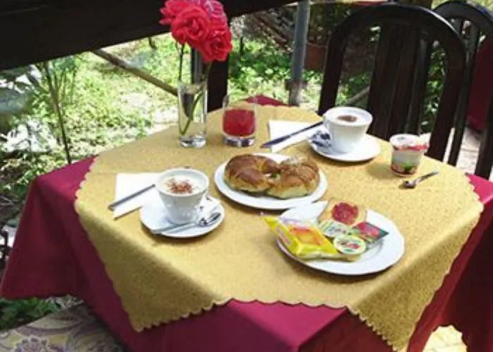 Adler Hotel 3*