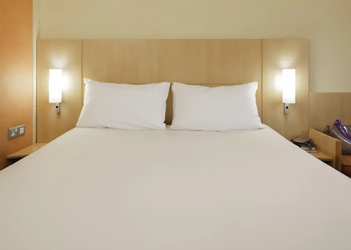 Ibis Centro