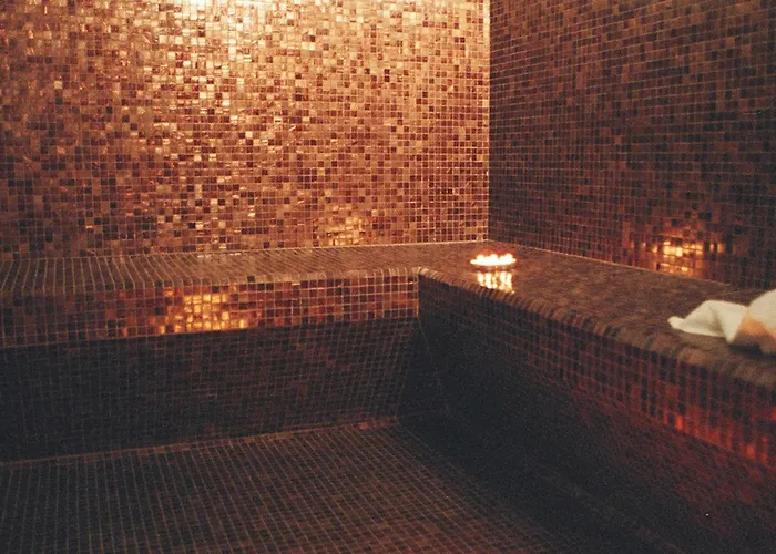 Grand Visconti Palace