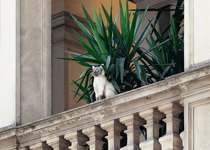 Gran Duca Di York 3* Milano