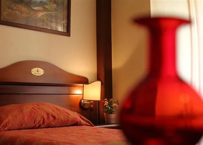 Отель Pavone 3*