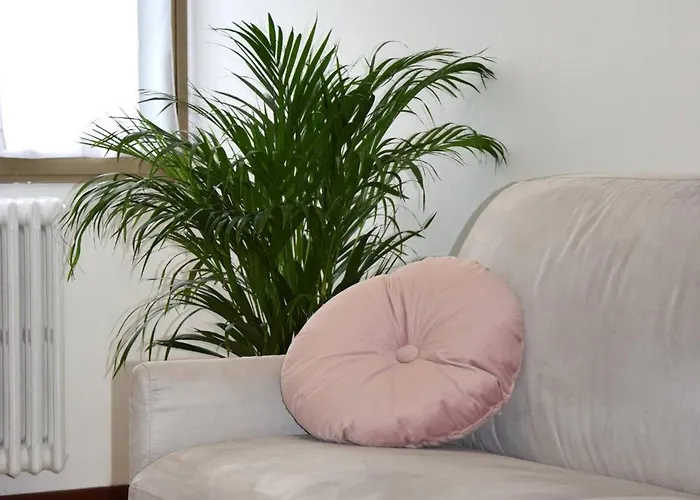 Delizioso In Centro A - U29 *