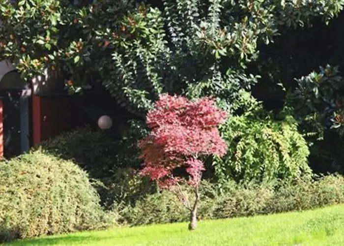 Tiziano - Gruppo Mini 4*