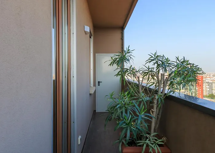 I-host - Scheiwiller 1