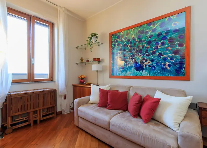 I-host - Scheiwiller 1 *