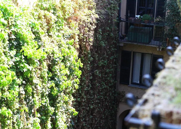 Bamboo Brera Fiorichiari *