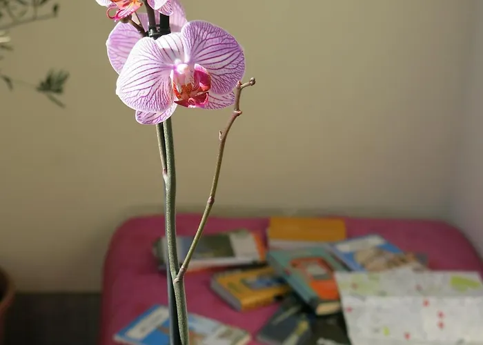 Bright And Lovely Private In Apartman Milánó