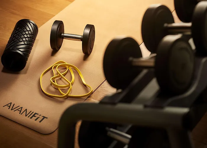 Avani Palazzo Moscova 4* Milán